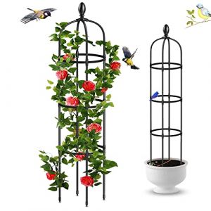 Ob&eacute;lisque de Jardin, Tuteur Plante Grimpante, Jardin Tuteurs de Plantes, Treillis Fleur Soutien de Arche de Jardin en Forme de Tour pour Plantes grimpantes (Style A) (HWSM-EU, neuf)