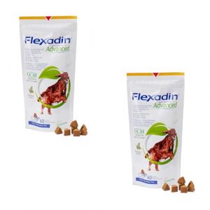 Flexadin Advanced Lot de 2 paquets de 60 chews pour chiens - Complément alimentaire pour soutenir la santé des articulations - Avec collagène immunactif, oméga-3 et vitamine E (Petcuore, neuf)
