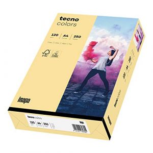 inapa Tecno Colors Lot de 250 feuilles de papier color&eacute; Chamois 120 g/m&sup2; Format A4 (novaStore, neuf)