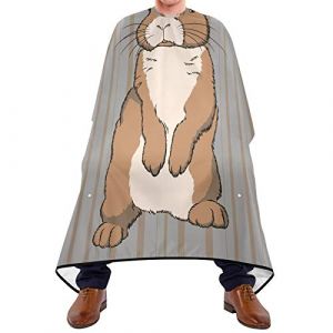 Cape De Coiffure Lapin Beige Sur Rayures Barber Cape De Salon Professionnel Lavable Anti-Taches Tablier De Barbier, Pour Le Dyeing, Femme, Adultes, 140x168cm (ZouYeShop, neuf)