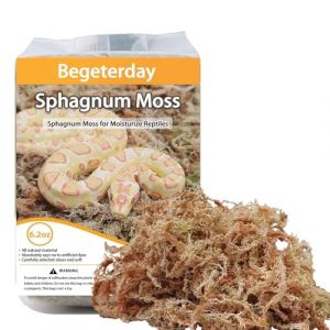 Begeterday 175g Mousse de sphaigne Naturelle pour Reptiles, Milieu idéal de rétention d'humidité pour Serpents, Tortues et Autres Reptiles, Bon pour Les terrariums de Reptiles & Amphibiens (Begeterday, neuf)