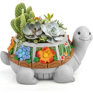 Grovind Pots de fleurs pour plantes succulentes, avec trou de drainage, jolis pots de fleurs pour cactus, pots de fleurs pour plantes d'intérieur, maison, jardin, cadeaux (Yuan Hang Trade EU, neuf)
