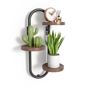 FKSLIFE Support mural pour plantes &agrave; 3 niveaux, support mural r&eacute;sistant pour plusieurs plantes, support rond en m&eacute;tal pour fleurs, &eacute;tag&egrave;re pour plantes pour terrasse, jardin, salon, chambre &agrave; coucher (Courtyard Spring, neuf)