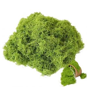 1pc 100g Mousse Artificielle Vert Clair, Mousse Artificielle Décoration Mousse d'Islande, Fausse Herbe Réutilisable Extérieure Réaliste Douce, Mousse Miniature pour Décoration de Fleurs, Pépinière DIY (HengShuiHunBengShangMaoYouXianGongSi, neuf)