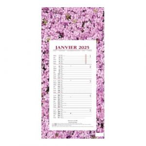 QUO VADIS - 1 Plaque Calendrier Mensuel Long - Motifs Fleurs - Janvier 2026 &agrave; D&eacute;cembre 2026 - Format 16 x 33,3 cm (Papeterie Libellus, neuf)