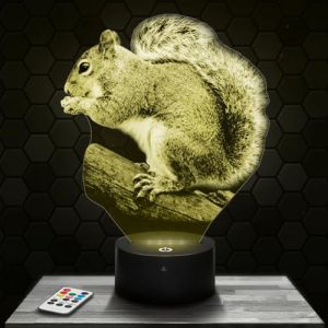 Lampephoto.fr - Lampe 3D Ecureuil Décoration Collection Animal Sauvage Idée Cadeau Homme Femme Objet Veilleuse Adulte Déco, Cadeau Noël Enfant Nature, Effet Hologramme (CS LASER, neuf)