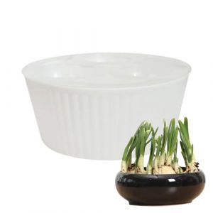 Jardinière hydroponique | Pot de jacinthe à 3 trous | Récipient de plantation de bulbes de fleurs | Pour jardiniers, appartement, bureau, enseignants, personnes âgées, débutants, rebord de fenêtre (xiaosiu, neuf)