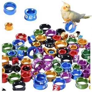 Bagues de Pattes Pigeon avec numérotation, bagues d'identification d'oiseaux caille, Ouvertes pour bébés volailles, Bantam, Pinson, Colombe, inséparable, coturnix, Petits Oiseaux 10pieces 7.0 (BOUTIQUEBQT, neuf)