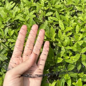 LINSOCLE Filet Anti-Oiseaux Noir 6m x 10m - pour Le Jardin - Protection Cerisiers, Arbres Fruitiers & L&eacute;gumes - Emp&ecirc;che Les Dommages sur Les Fruits et Les Plantes (Xinkongsky, neuf)