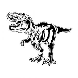 Sticker mural dinosaure forêt oiseau animal T-Rex dinosaure parc dinosaure monde autocollant mural salon chambre-L-57x66cm-Black (LIUJIAHAO Sticker, neuf)