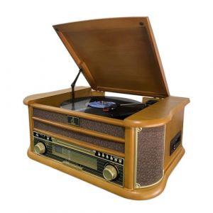 DL Tourne-Disque Vinyle avec Haut-parleurs et Enregistrement USB Complet, chaîne HiFi Vintage pour disques vinyles, CD, Cassettes, Radio AM/FM, entrée auxiliaire (D&L VIEW, neuf)
