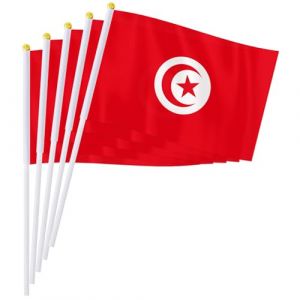 PTEROSAUR Lot de 50 drapeaux tunisiens &agrave; main, 14 x 21 cm, petits drapeaux nationaux africains tunisiens, drapeaux &agrave; agiter &agrave; main (50) (PTEROSAUR, neuf)
