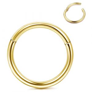 Roheafer Piercing Nez Hypoallerg&eacute;nique Anneaux Nez en Titane G23 Anneaux &agrave; L&egrave;vres 14G 16G 18G 20G Anneaux Segment&eacute;s Articul&eacute;s pour Femmes Hommes Helix Daith Tragus Cartilage Septum Piercing Bijoux (Roheafer, neuf)