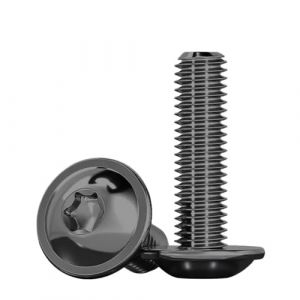 Drenky Vis Torx Noir 20 Pièces, M5x30mm Vis à Tête Plate Avec Collerette ISO 7380-2 à Machine Acier Inoxydable A2 V2A à Tête Plate Avec Rondelle, Filetage Complet (Drenky-EU, neuf)