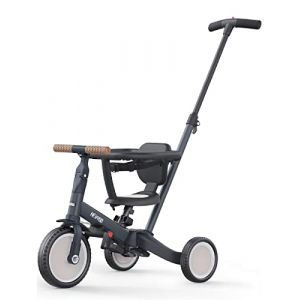 newyoo Tricycle Draisienne 5 en 1, Tricycle Bébé Évolutif 1-3 Ans avec Barre Poussée, Vélo Enfant, Guidon Réglable, Barres Sécurité, Jouet à Chevaucher, Cadeau Anniversaire, TR008, Gris Anthracite (NEWYOO-EU, neuf)
