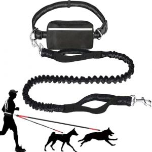 Upliftjoys Laisse pour chien mains libres avec pochette &agrave; fermeture &eacute;clair, coutures r&eacute;fl&eacute;chissantes, taille r&eacute;glable, double poign&eacute;es rembourr&eacute;es pour la course, la marche et la randonn&eacute;e (noir (shop-Bs-service, neuf)
