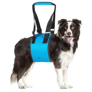 MHwan Harnais pour Chien Handicapé, Harnais de Levage Réglable pour Soutenir Les Chiens Handicapés et Âgés afin de Fournir Un Soutien de Sécurité pour Les Chiens de Petite, Moyenne et Grande Taille (MHwan, neuf)