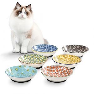 Gamelle Chat Ceramique Gamelles Chats - Lot Bol Chat Porcelaine de Série Florale Vintage - Set Assiette Chat Coloré Design - Bol Nourriture Chat - Ecuelle Chat - Plat Pour Chat - 6 Pièces - 250 ml (Batitie, neuf)