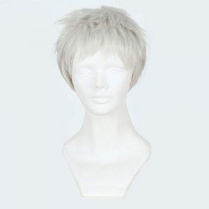 GUANBBD Nouveau jeu d'arrivée Perruque Cosplay 30 cm Cheveux synthétiques courts et lisses Overwatch Soldat 76 Perruque pour homme garçon Costume Fête Gris argenté Soldat 76 (GUANBAIJI1982, neuf)