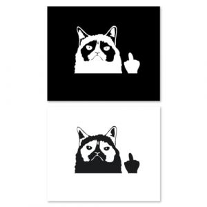 TNSRAY Autocollants imperméables pour Voiture Motif Chats et Animaux, 2 Pièces Autocollant Chat Noir Amusant pour Voiture et vitres, Stickers Voiture Chat Stickers Chat Autocollant Voiture Humour (guoyoushuoouzhoudian, neuf)
