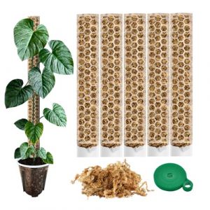 Tuteur pour Plantes Grimpantes (Ensemble de 5 Tuteurs en Mousse sphaigne) - Id&eacute;al pour Monstera Deliciosa et Aro&iuml;des - Supports en Mousse avec Velcro, 35x6 cm, Accessoires pour Plantes d'Int&eacute;rieur (Plant Coma, neuf)