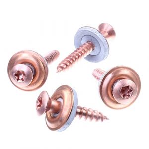 SECCARO Lot de 100 Vis Spengler 4,5 x 20 mm Cuivré Inox A2 Rondelle d'étanchéité EPDM 15 mm TX / Hexagonal (ecomserv - Advanced eCommerce Service, neuf)