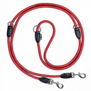 elevenants Laisse r&eacute;glable de 3 m | Laisse en nylon robuste pour chiens de taille moyenne &agrave; grande | Laisse avec force de traction de 200 kg | Double laisse avec 2 mousquetons | Laisse multifonction (elevenants, neuf)