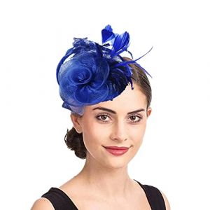&Eacute;pingles &agrave; cheveux Femme Accessoires Coiffure Mariage Chapeau Bibis Fascinator Bride Voilette en Maille &Eacute;l&eacute;gantes Serre-t&ecirc;te pour Cocktail Mariage C&eacute;r&eacute;monie Photographe F&ecirc;te Soir&eacute;e D&eacute;guisement,Bleu,TU (IBlueloveruk, neuf)