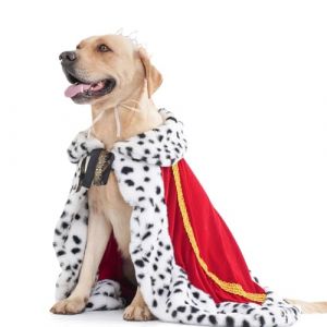 Lovelyshop Pet Serial Lux Cape en Fourrure pour Chien et Chat pour Costume d'halloween, d&eacute;guisement Roi, Reine, Prince et Princesse, Taille XL (LOVELYSHOP EU, neuf)