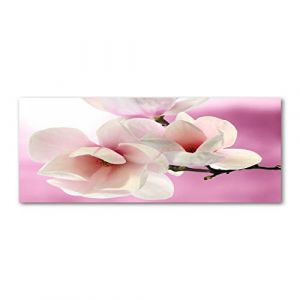 Tulup Crédence de cuisine 125x50cm Dosseret en verre Fond de hotte Verre de sécurité trempé Splashback Guard - Fleurs et plantes - Rose - Magnolia (Tulup, neuf)