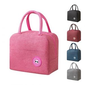 BRYN Sac Isotherme Repas, 5.6L Mini Glaciere, Glaciere Souple Isotherme en Feuille d'Aluminium, Petit Sac Lunch Box pour Femmes, Hommes, Enfants, École e Bureau (Rose) (Bryn Home, neuf)