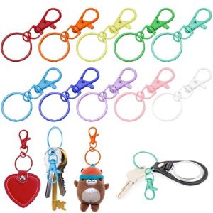 Mousqueton Porte Cl&eacute;,Anneau Porte Clef,Anneaux Porte Cl&eacute;,100 Pi&egrave;ces Anneau Porte Cl&eacute;,Porte Cles,Attache Porte Cl&eacute; pour Bijoux DIY D&eacute;coratio (Kendwing, neuf)