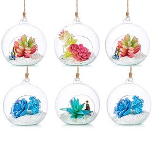 Glasseam Terrarium en Verre Suspendu 6 Pièces Grande Ouverture Vase Plante Boules 12cm Fleur Vase Pot Boules De Verre Creativesverre la Conception de Bricolage de Jardin de Mariage à la Maison (Gasseam, neuf)