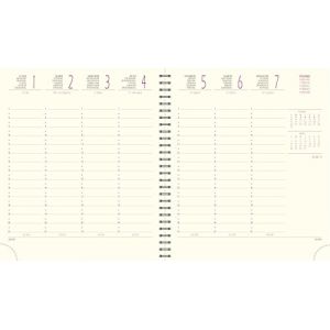 Exacompta 180847E - Recharge semainier SAD 18S - 15 x 17 cm - Septembre 2025 &agrave; d&eacute;cembre 2026-16 mois - Papier ivoire (KoolForYou, neuf)