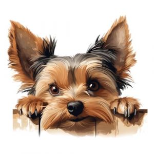 Lot de 4 autocollants en vinyle pour porte de chien Yorkshire - R&eacute;sistant aux intemp&eacute;ries - R&eacute;sistant et vibrant - Id&eacute;al pour porte, coque de t&eacute;l&eacute;phone, tasses, verre &agrave; vin, toilettes, voiture et tous (LaoGraphics, neuf)