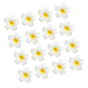 INOOMP 24 pi&egrave;ces Pinces Cheveux Hawa&iuml;ennes Plumeria pour Cheveux Fins Accessoires Fleurs Frangipanier &Eacute;l&eacute;gants pour Coiffure F&ecirc;te (maggie Song, neuf)