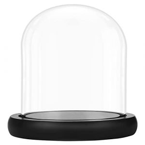 BELLE VOUS 10 cm Cloche en Verre avec Socle Noir en Bois - Mini Cloche en Verre Transparent pour Lumières, Plantes, Décoration de Table (Tinyyo Europe, neuf)