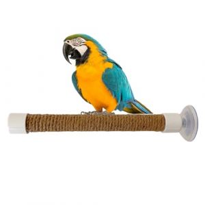 Renchey Perchoir pour Bain De Perroquet | Perchoir de Douche pour Perruches | Accessoires De Et Cage Portables avec Ventouse pour Ara Et Perruche pour L'Entra&icirc;nement Fen&ecirc;tre Voiture Et Bain (Renchey, neuf)