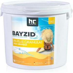 Höfer Chemie 2 x 5 kg pH Plus granulés Bayzid (pH Lifter) Assure Une Augmentation Rapide et fiable de la Valeur du pH dans la Piscine et la Piscine (Höfer Chemie GmbH, neuf)