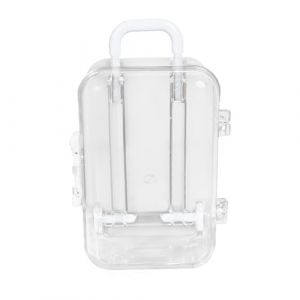Ristyur Boîte à valise, boîte à bagages transparente – Boîte d'emballage de voyage pour anniversaire, mariage, décoration de la maison ancienne, boîte de valise (ZhenJiaoVVV, neuf)