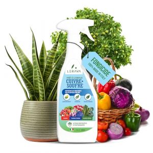 LERAVA Fongicide Cuivre Soufre (2x700 ml) - Traitement Naturel et Bio contre O&iuml;dium, Mildiou et Maladies des Plantes - Protection Efficace pour Rosiers, Vignes et Jardin - Formule Facile &agrave; Utiliser (Agricenter Spitaler, neuf)