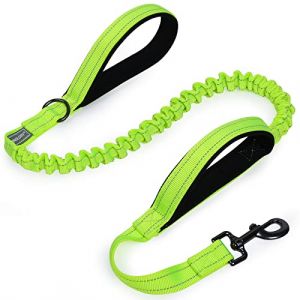 VIVAGLORY Laisse Bungee Haute Résistance pour Chien, Laisse de Formation Réfléchissante sans Traction avec Poignée de Trafic pour Chiens Moyens et Grands, Tailles Ajustables, Jaune Vif (VIVAGLORY PETS, neuf)
