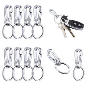 DIFLAX 10 Pièces Mousqueton Porte-Clef, Inox Mousqueton, Argent Mousqueton, Porte-Clef Petit, Pour Sacs à Dos, Voitures, Camping, Attache Porte-Clés (Argent) (SVF TUNDER PRICE, neuf)