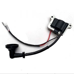 Fashionapple Bobine d'allumage pour D&eacute;broussailleuse, Multifonction 4 en 1, Outil sur Perche (hai feng xian lan tu bai huo shang hang, neuf)