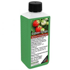 GREEN24 Engrais sp&eacute;cial pour fraises - 250 ml NPK - Engrais sp&eacute;cial pour fragaria &times; ananassa - Favorise les fruits sucr&eacute;s et la croissance forte - Id&eacute;al pour toutes les vari&eacute;t&eacute;s de fraises (green-24, neuf)