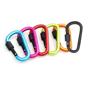 Lonwiner 6 stock Carabiner avec capuchon à vis, crochet petit carabiner en acier inoxydable D Ensemble de, 6 couleurs (WTYLL-EU, neuf)