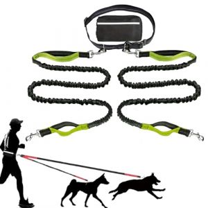 Upliftjoys Laisse pour chien mains libres avec pochette &agrave; fermeture &eacute;clair, coutures r&eacute;fl&eacute;chissantes, taille r&eacute;glable, double poign&eacute;es rembourr&eacute;es pour la course, la marche et la randonn&eacute;e (vert (shop-Bs-service, neuf)