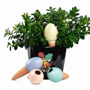 MKNZOME Oyas a Planter Terre Cuite, 4 Pièces Arrosage Goutte à Goutte Ollas Terre Cuite Arrosage Automatique Plantes Irrigation Goutte a Goutte Bouteille pour Jardin Maison Intérieur Extérieur (YunkaiStoreDirect, neuf)