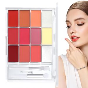 Lip Gloss Palette, Hydrating Lip Gloss, Moisturizing, Color Lip Gloss Palette, Lipstick Makeup Set, 12 Colors Lip Gloss, Gloss Tint Set, for Women Girls (PinHMG, neuf)