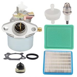 Ewillownm Compatible avec le carburateur 799869 499059 pour moteur Briggs et Stratton 190cc 122L02 122T02 126T02 126T05 126T07 122K02 123K02 125K02 (MunQ, neuf)